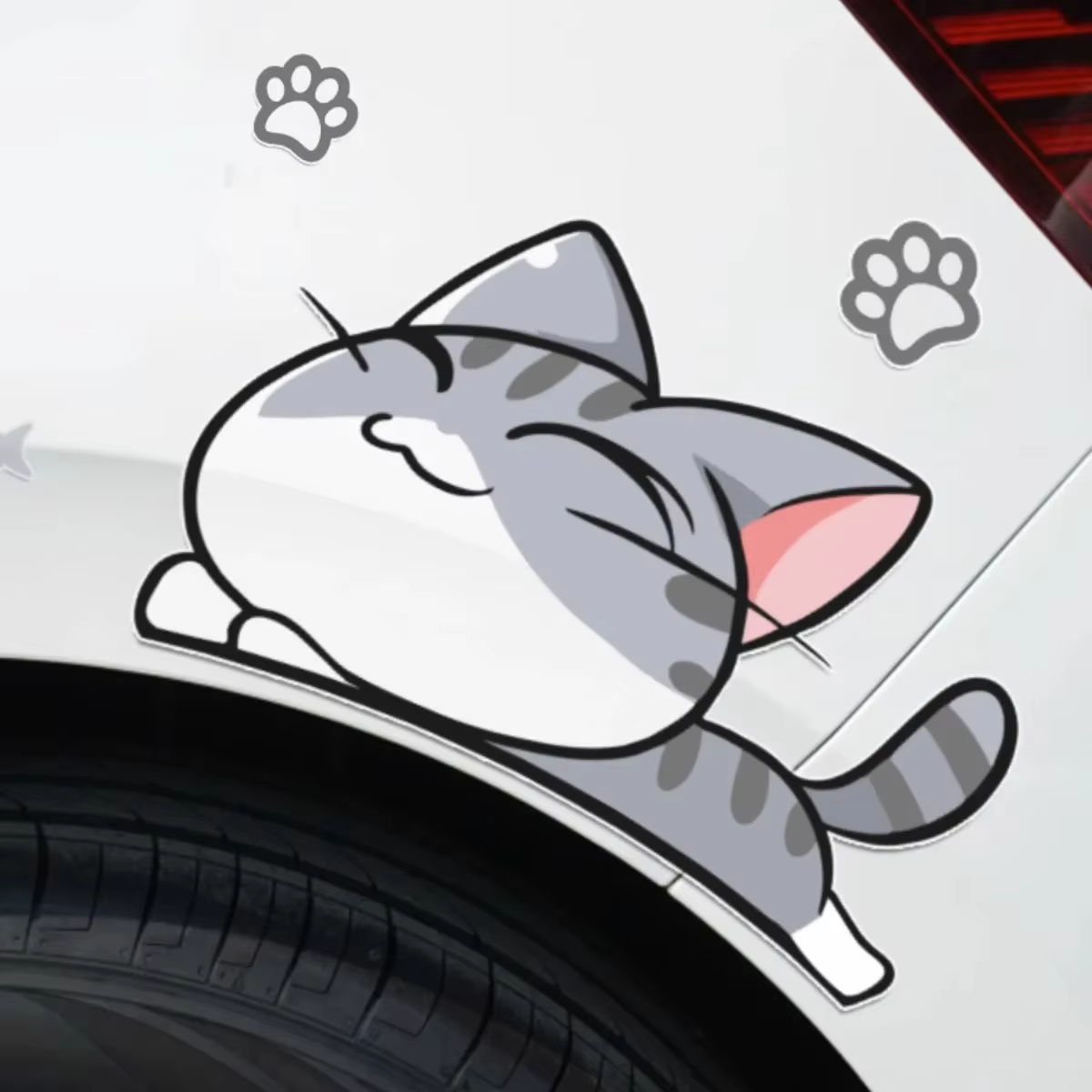 Autocollants pour voiture Catfish