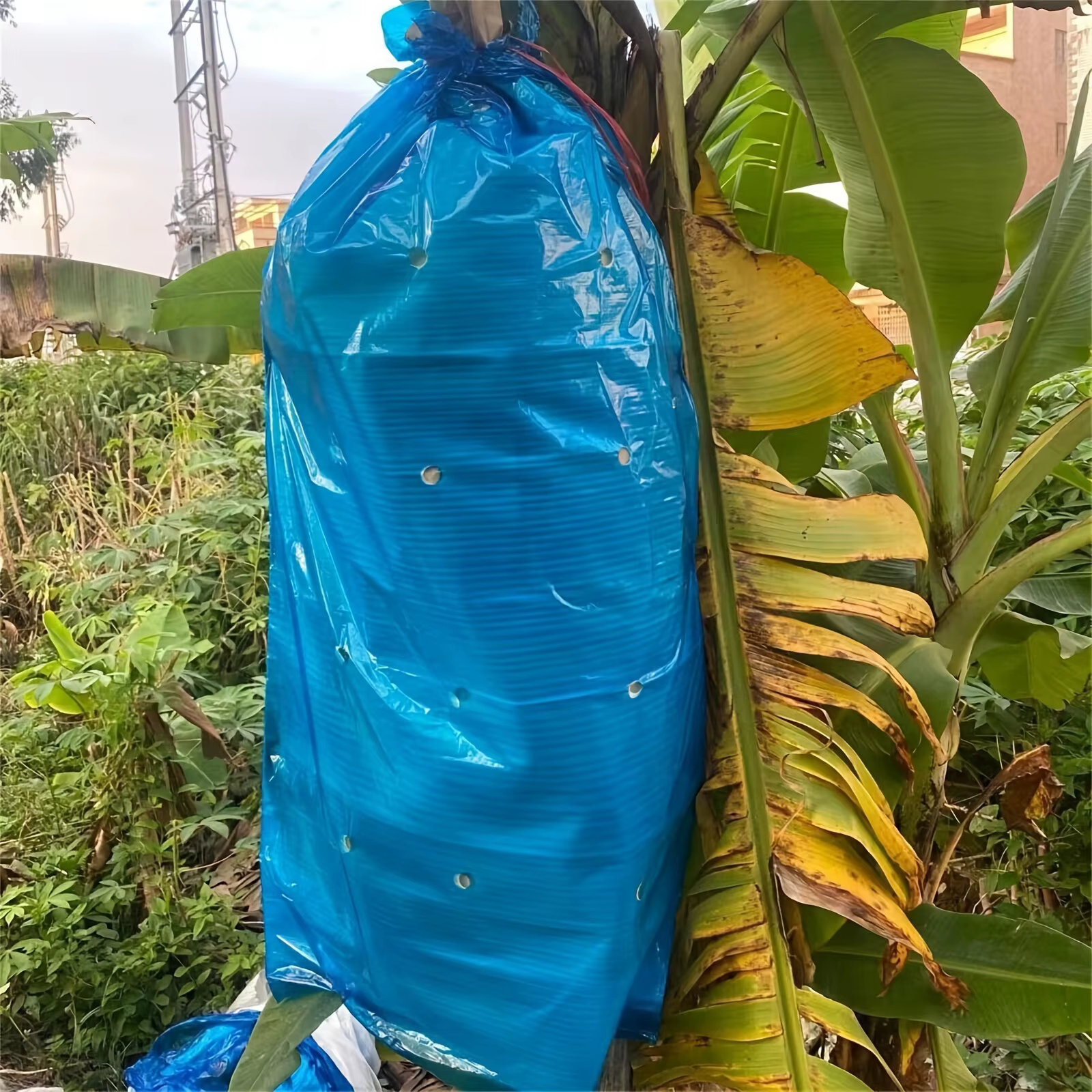 5 pièces banane sac de culture filet barrière banane Ripen sac réutilisable produire protection sac étanche à la pluie fruits résistant à la pluie bananes hiver