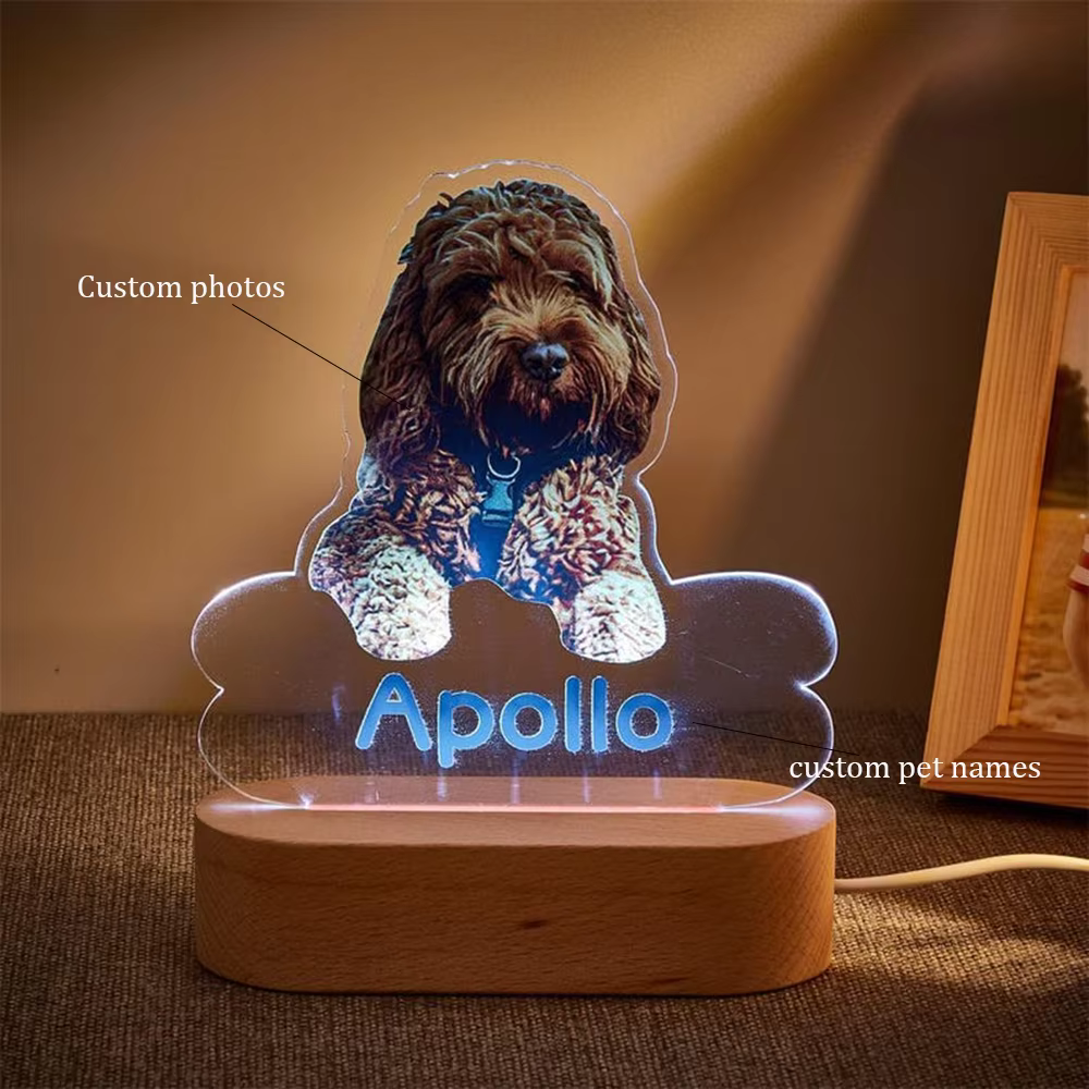 Lampe de nuit LED en acrylique personnalisée avec photo d'animal de compagnie, lumière douce et chaude, cadeau idéal pour la fête des mères pour les propriétaires d'animaux