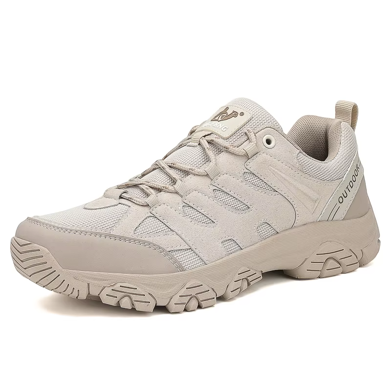 Chaussures de randonnée pour hommes