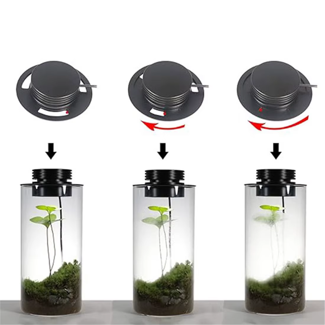 Lampe de culture de plantes Terrarium USB à intensité variable avec minuterie pour Vases, croissance des plantes d'intérieur, paysage de jardinage succulent et Miniature