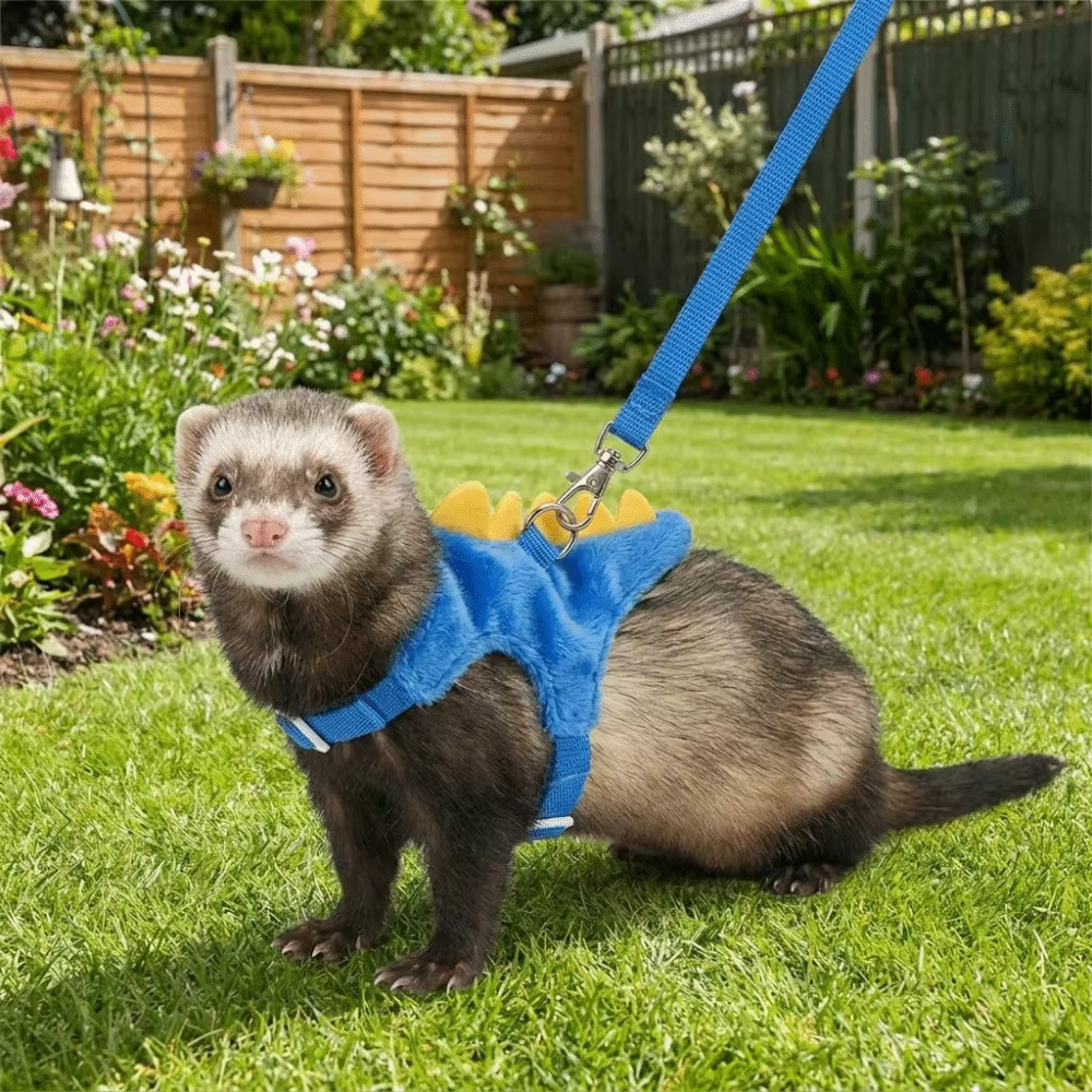 Harnais réglable pour furets en forme de dinosaure avec clochette, sangle de poitrine pour hamsters, laisse confortable anti-évasion pour animaux de compagnie, pour l'extérieur