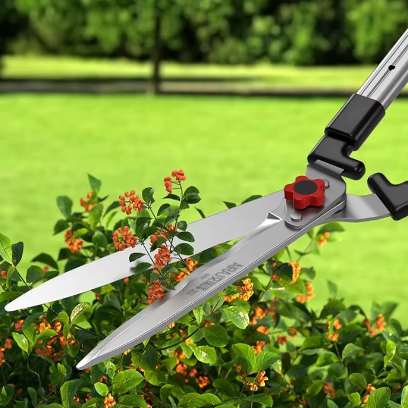 Sécateurs Spécifiques pour Jardinage en Cour, Arbres Fruitiers, Fleurs, Branches Décoratives, Ciseaux de Taille, Outils et Accessoires d'Horticulture Domestique