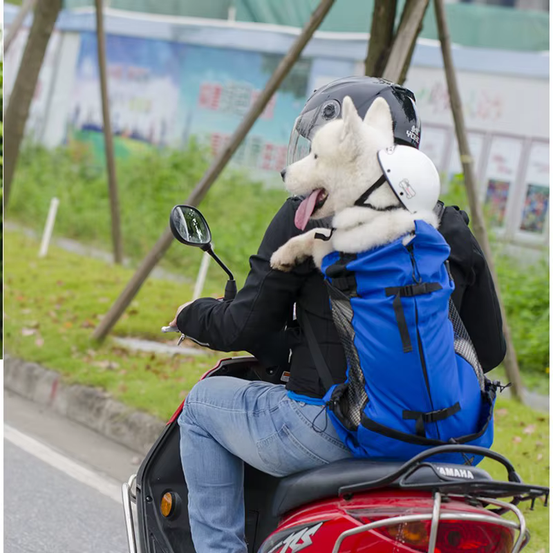 Randonnée animal de compagnie chien transporteur voyage sac à dos Ventilation extérieure respirant vélo moto Sport de plein air maille sac livraison directe