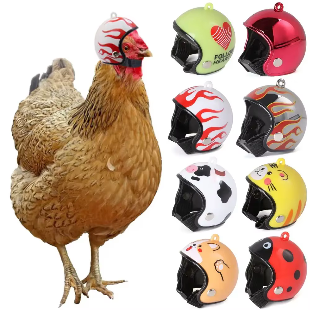 Fournitures légères pour animaux de compagnie, accessoires, couvre-chef de Protection pour animaux de compagnie, chapeaux de Protection contre la pluie et le soleil, casque de poulet, casquette de Pro
