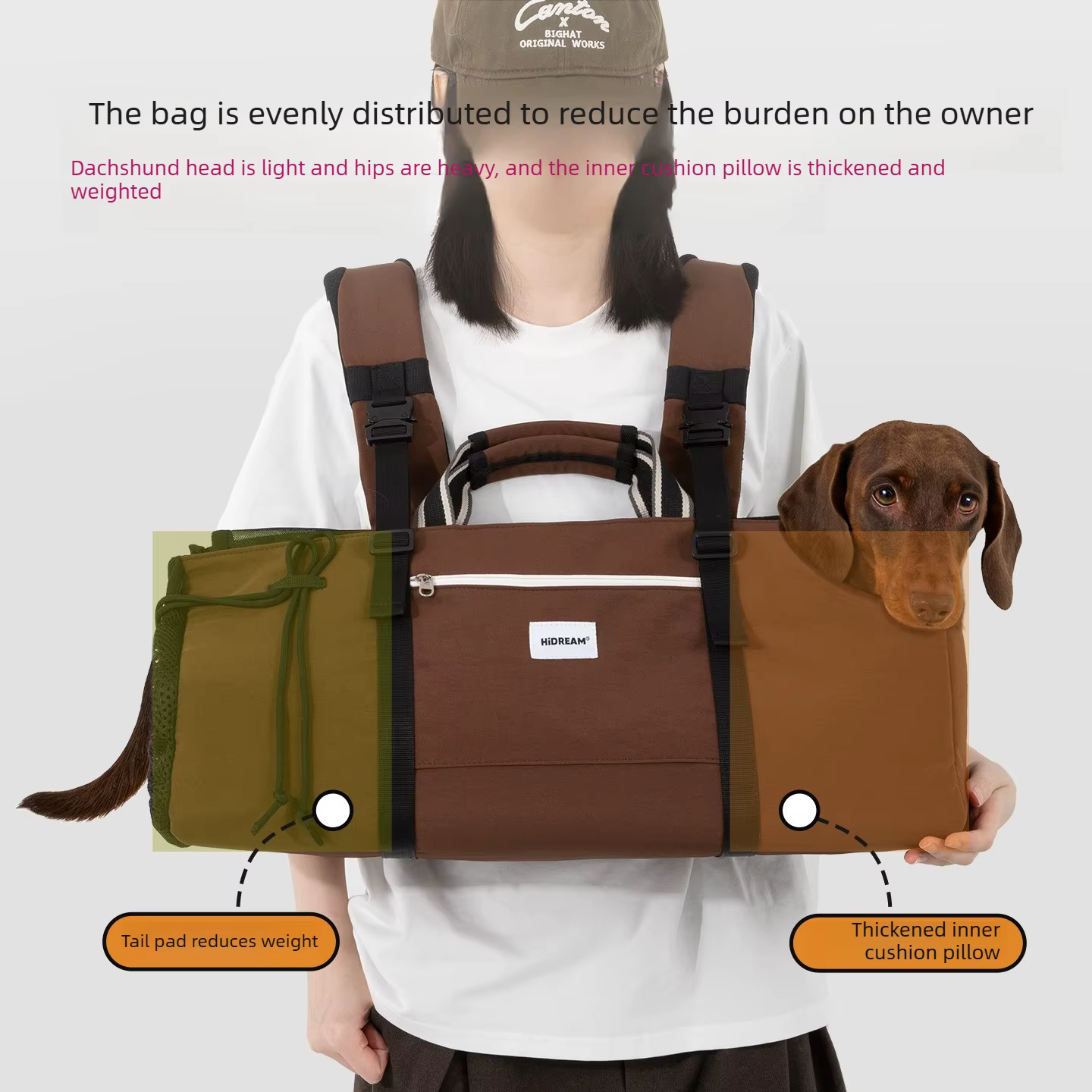 Sac à dos de transport pour chien Teckel extra long 56 cm, avec coussin lombaire et de tête, entrée basse en U, ouverture arrière, poids équilibré, imperméable