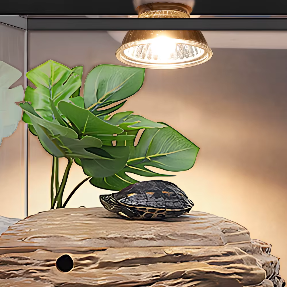 Lampe chauffante pour reptile, ampoule non remboursable, tortue se prélasser, favorise la croissance des animaux de compagnie, lampe solaire pour amphibiens, haute qualité, 25 W, 50 W, 75W, 5 pièces, 