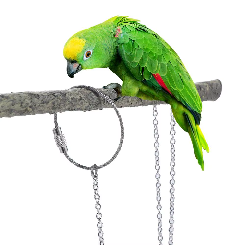 Accessoires d'entraînement en extérieur pour oiseaux avec boucle pivotante : Support pour oiseaux, Bague de pied pour perroquet, Chaîne de pied pour perruche