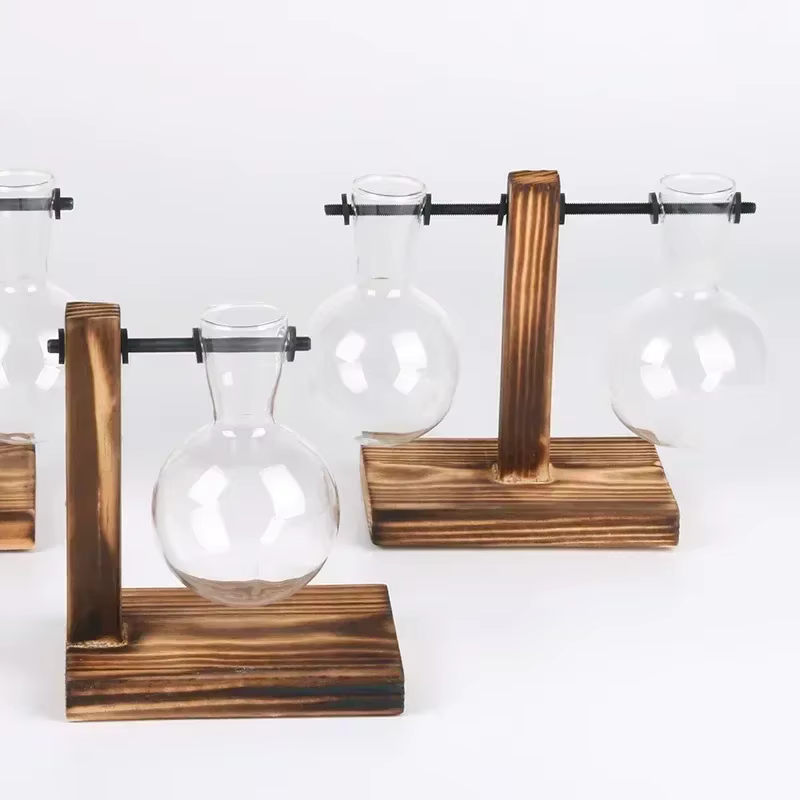Plante hydroponique Terrarium Vasevase décoration maison bouteille en verre