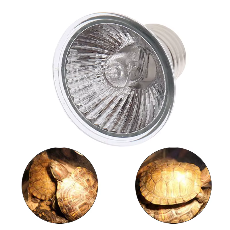 25/50/75W UVA + UVB 3.0 lampe pour Reptile ampoule tortue plinthe UV ampoules lampe chauffante régulateur de température