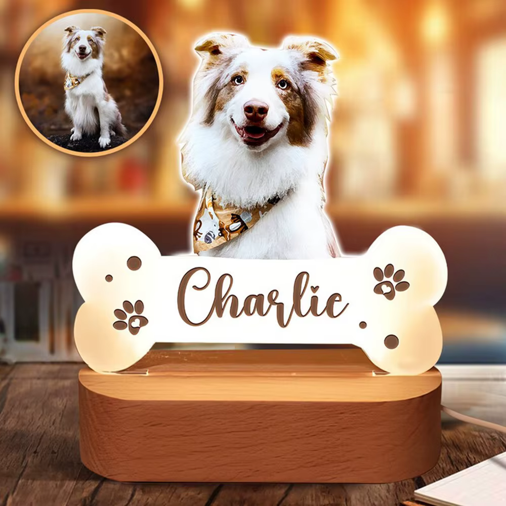 Lampe de nuit LED en acrylique personnalisée avec photo d'animal de compagnie, lumière douce et chaude, cadeau idéal pour la fête des mères pour les propriétaires d'animaux
