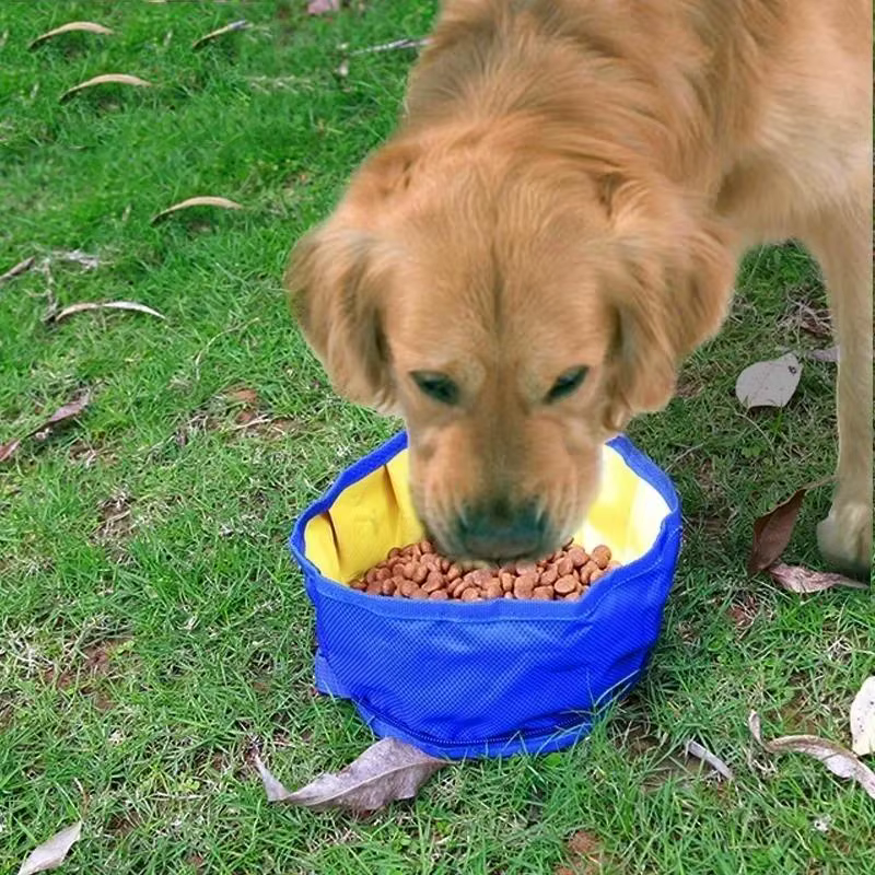 Récipient à boire pliable pour chien, grand Volume, bol d'eau pour chien, sac de stockage des aliments, randonnée en plein air voyage, bol pliant pour animaux de compagnie 1100ML