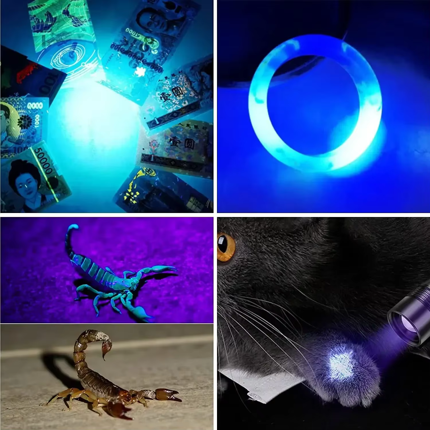 Lampe torche LED UV haute puissance rechargeable par USB