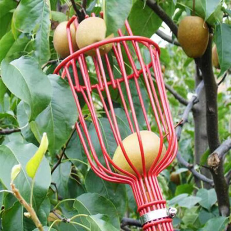 Machine de cueillette de fruits