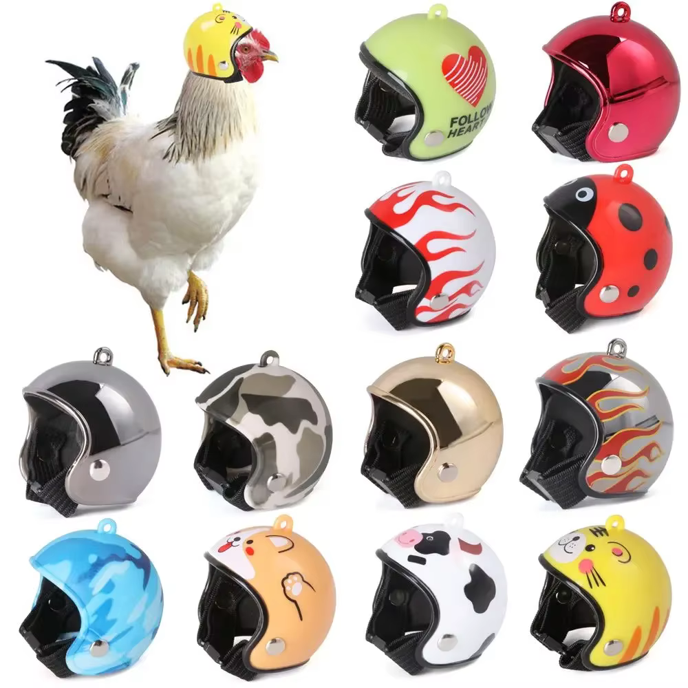 Fournitures légères pour animaux de compagnie, accessoires, couvre-chef de Protection pour animaux de compagnie, chapeaux de Protection contre la pluie et le soleil, casque de poulet, casquette de Pro