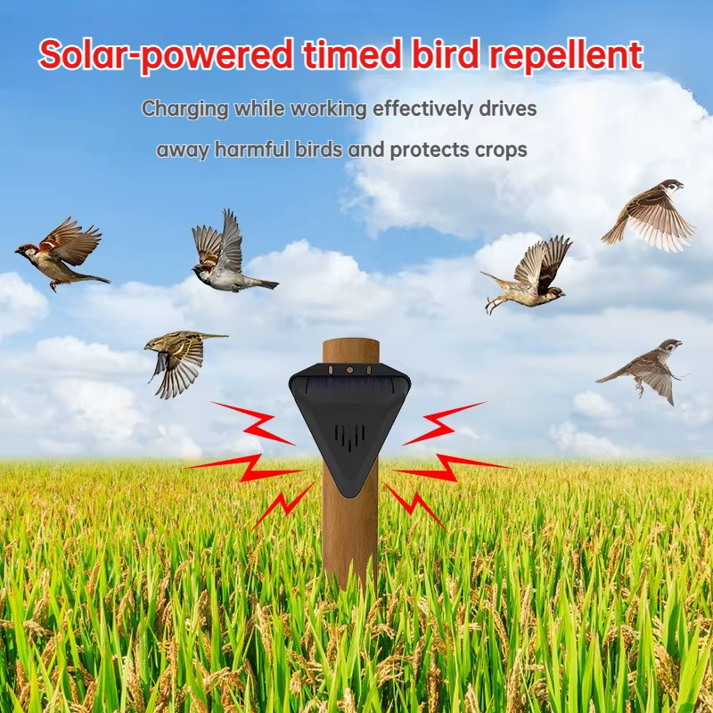 Lampe d'alarme solaire sirène capteur de mouvement sans fil extérieur étanche 129dB lumière