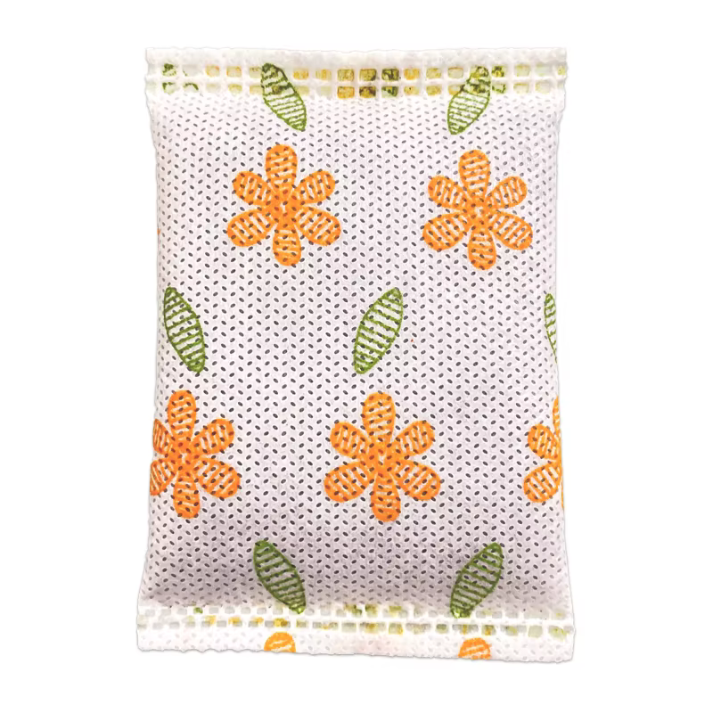 Sacs de charbon de bambou absorbant les odeurs, voiture, maison, élimine le formaldéhyde, sac de charbon actif, élimination des saveurs, supporter ficateur, 10 pièces