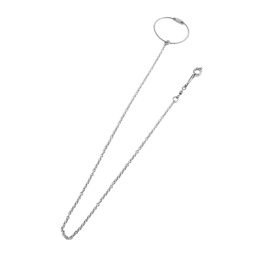Accessoires d'entraînement en extérieur pour oiseaux avec boucle pivotante : Support pour oiseaux, Bague de pied pour perroquet, Chaîne de pied pour perruche