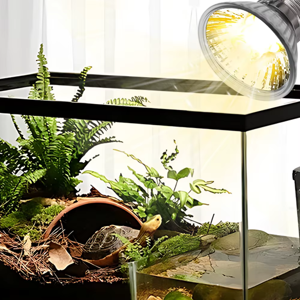 Lampe chauffante pour reptile, ampoule non remboursable, tortue se prélasser, favorise la croissance des animaux de compagnie, lampe solaire pour amphibiens, haute qualité, 25 W, 50 W, 75W, 5 pièces, 