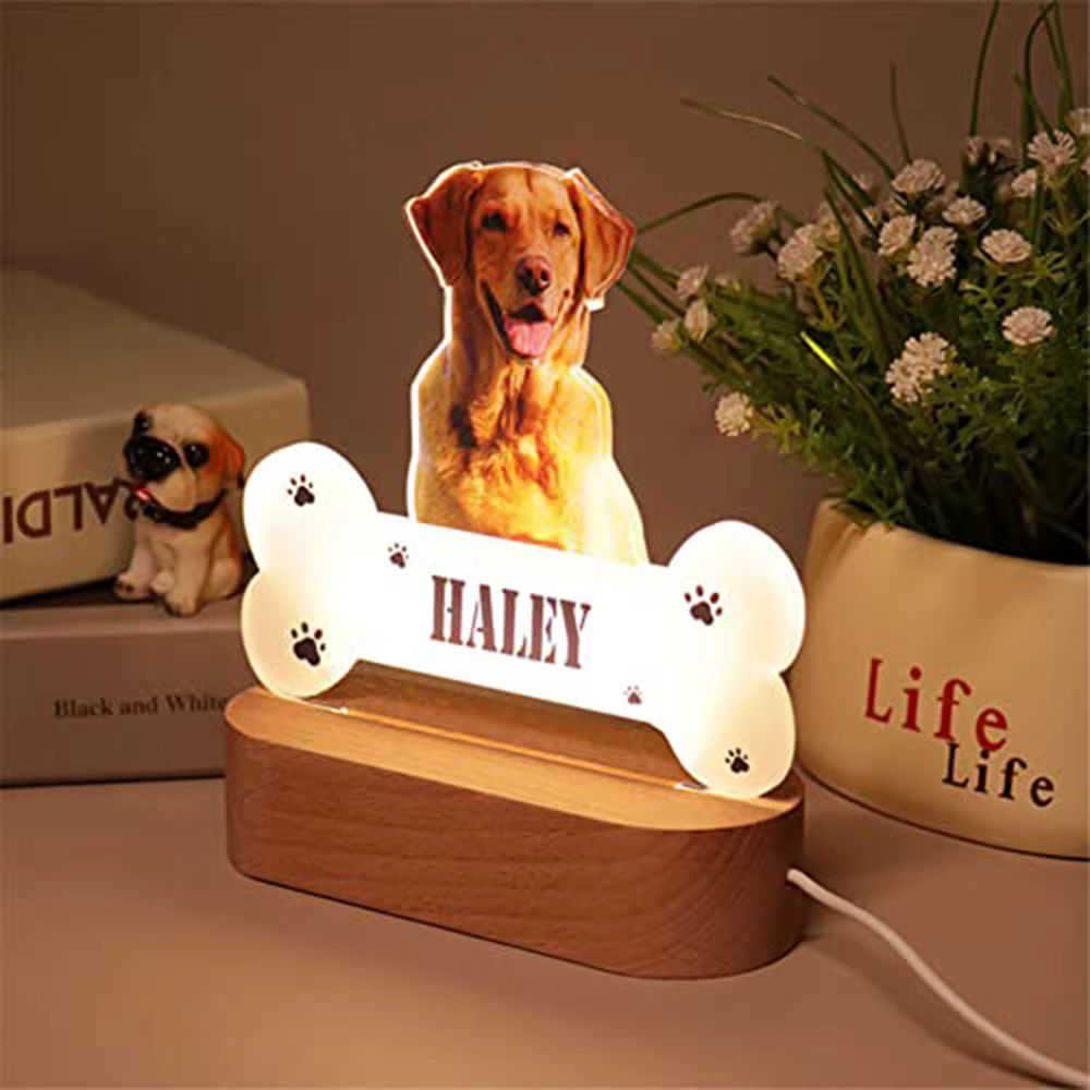 Lampe de nuit LED en acrylique personnalisée avec photo d'animal de compagnie, lumière douce et chaude, cadeau idéal pour la fête des mères pour les propriétaires d'animaux