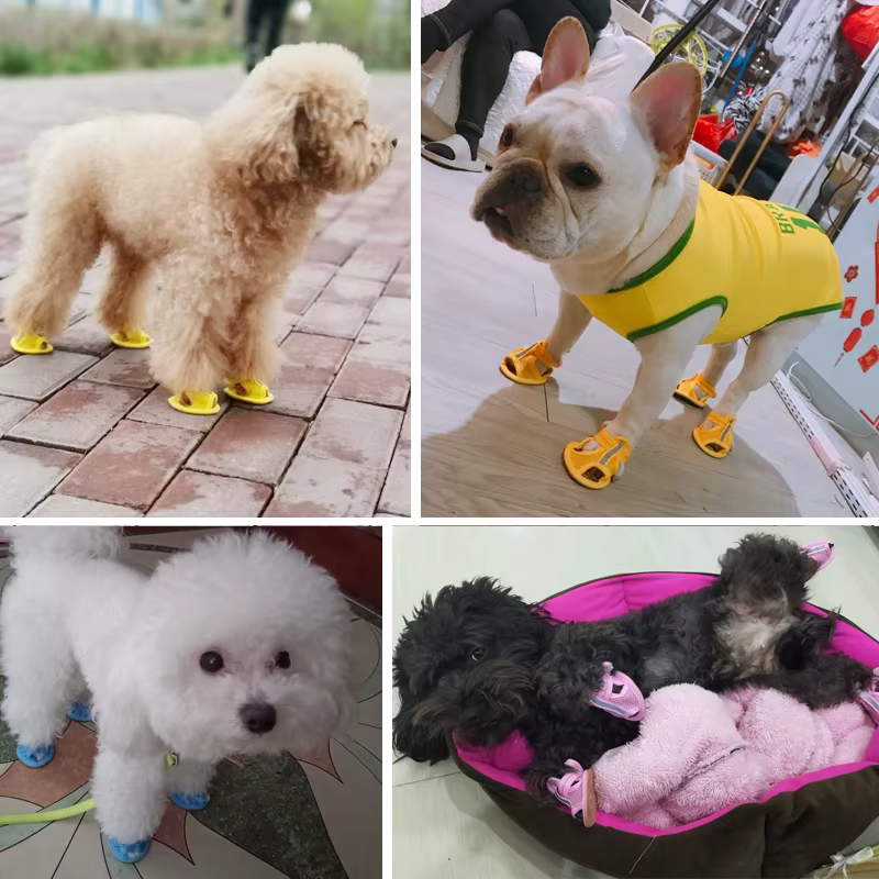 Chaussures d'été pour petits chiens