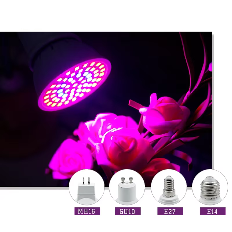 Led élèvent la lumière croissance lumières éclairage intérieur hydroponique tente ampoule E27 E14 MR16 GU10 phytolampe pour plante spectre complet élèvent la lampe