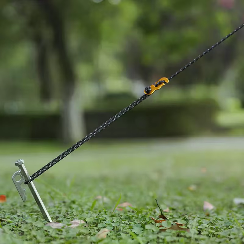 Cordes de tente renforcées pour Camping en plein air, 4 pièces, coupe-vent et réfléchissantes avec boucle