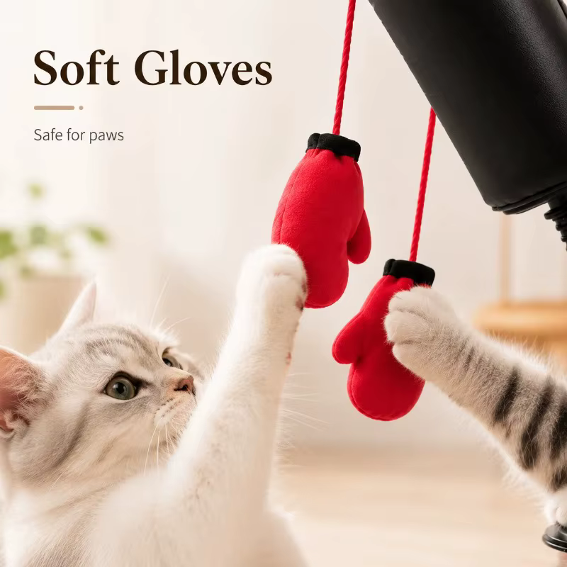 Jouet de boxe interactif pour chat avec gants, mini-sac de frappe créatif, outil de dressage portable pour animaux de compagnie, idéal pour la maison et la réduction du stress