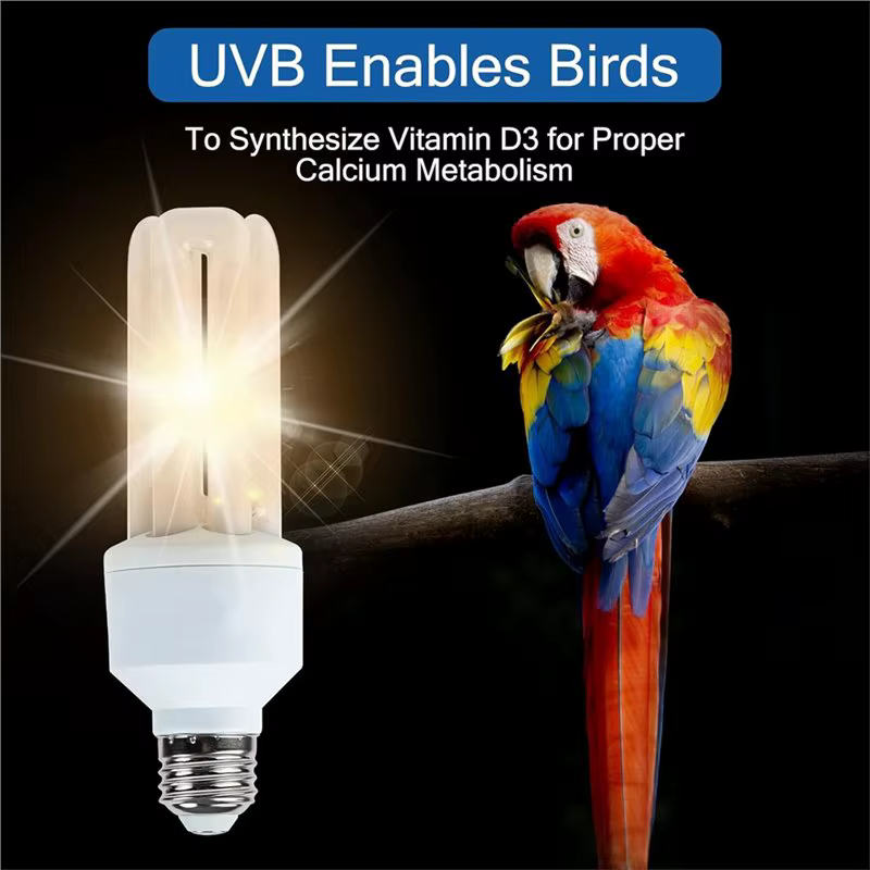 【Dernier CHANCE】 pour les oiseaux 2.4 UVB 20W lampe fluorescente compacte UVA UVB ampoule pour tous les types captifs