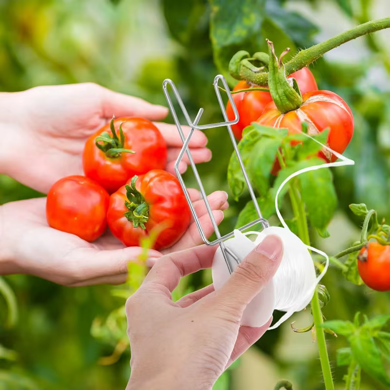 Crochet de suspension pour tomates, support de culture de légumes en serre, attache pour treillis de vigne, crochets de suspension pour corde, pince de fixation pour plantes grimpantes de jardin