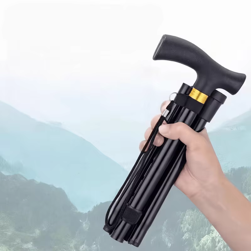 Canne de marche télescopique randonnée en plein air bâtons de Trekking en alliage d'aluminium