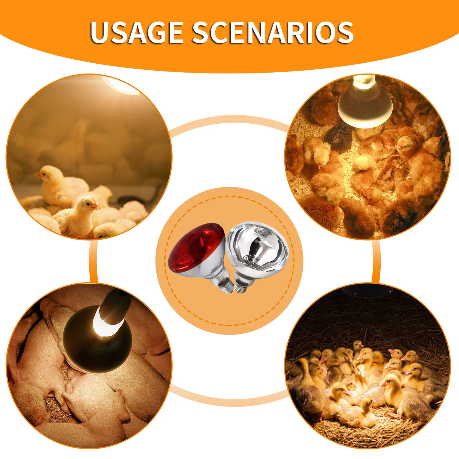 Lampe chauffante infrarouge pour volaille
