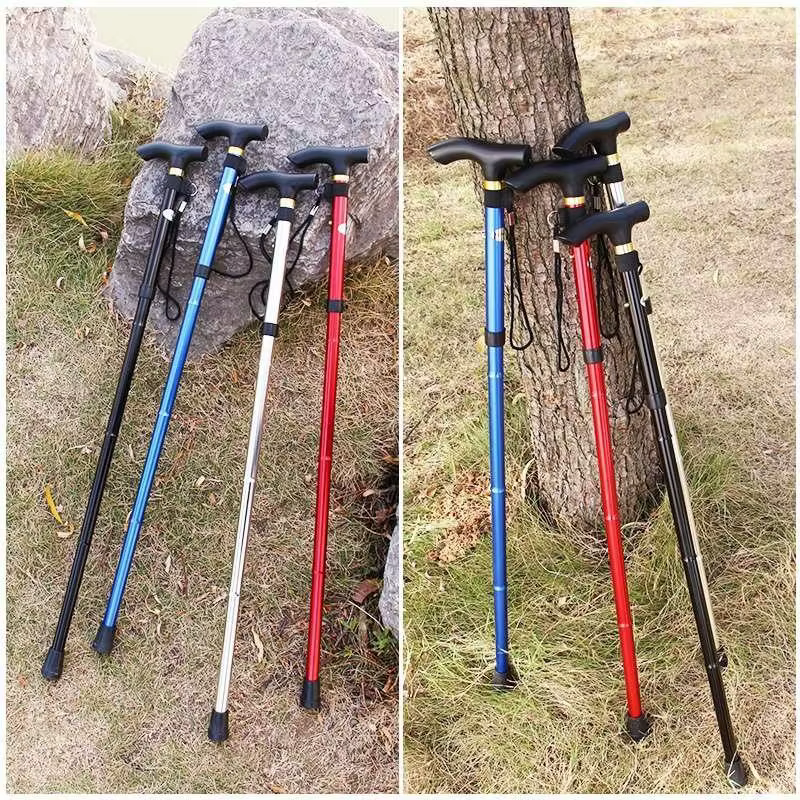 Bâton de marche télescopique