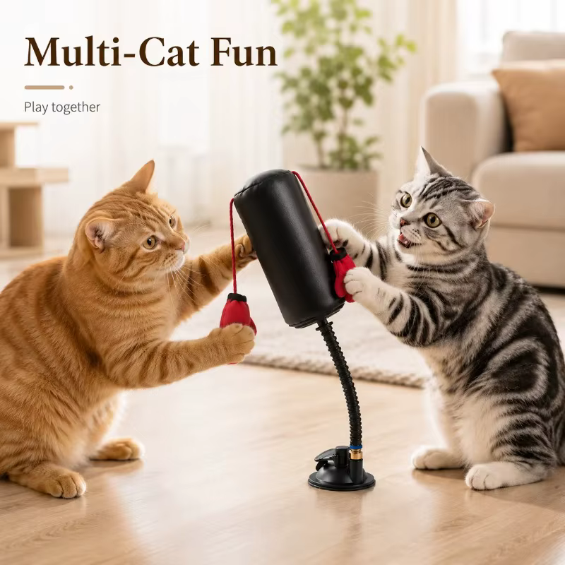 Jouet de boxe interactif pour chat avec gants, mini-sac de frappe créatif, outil de dressage portable pour animaux de compagnie, idéal pour la maison et la réduction du stress