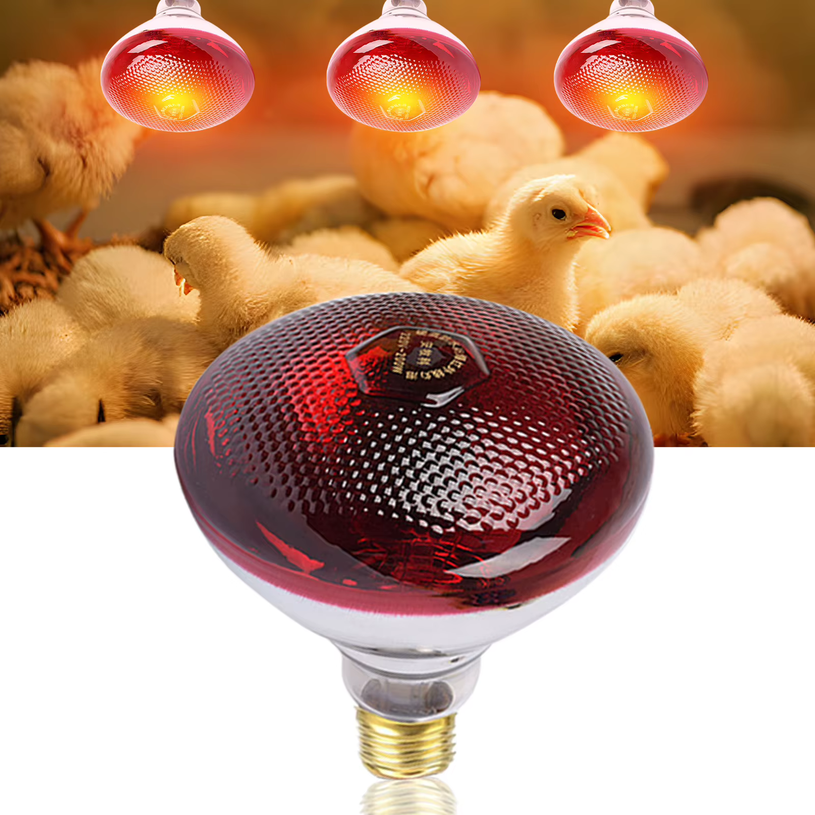 Lampe chauffante infrarouge pour volaille