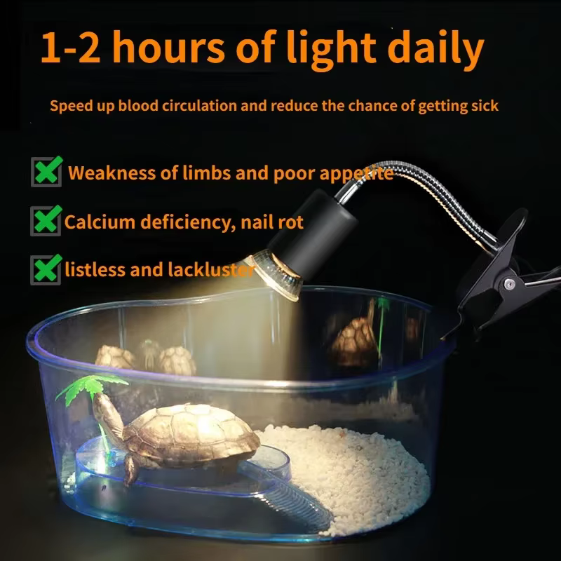 Ampoule halogène 50W incluse lampe chauffante pour reptiles lampes chauffantes réglables pour réservoir d'aquarium à col de cygne pour Terrarium de serpent de lézard de tortue
