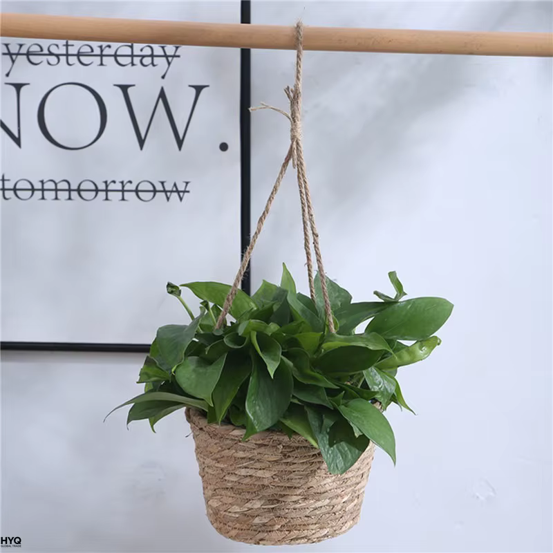 Pot suspendu de jardin en macramé, panier de rangement pour plantes en corde de jute tressée, support de pot de fleurs intérieur/extérieur, décoration d'intérieur