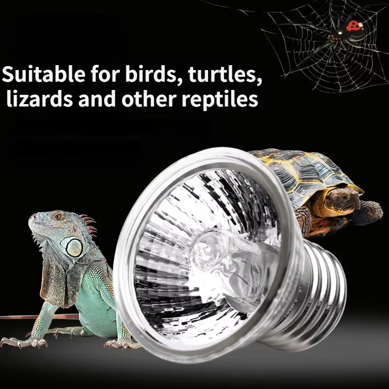 Ampoule halogène 50W incluse lampe chauffante pour reptiles lampes chauffantes réglables pour réservoir d'aquarium à col de cygne pour Terrarium de serpent de lézard de tortue