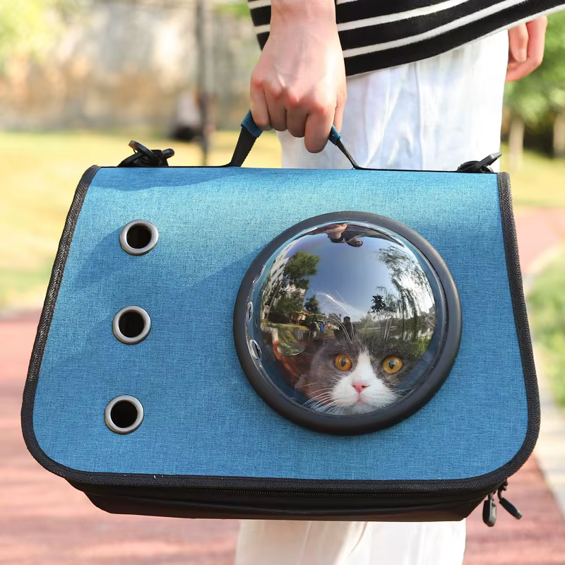 Sac à Capsule spatiale Portable pour chat, sac à bandoulière pliable à main, Cage transparente pour chat, fournitures pour chaton et chien