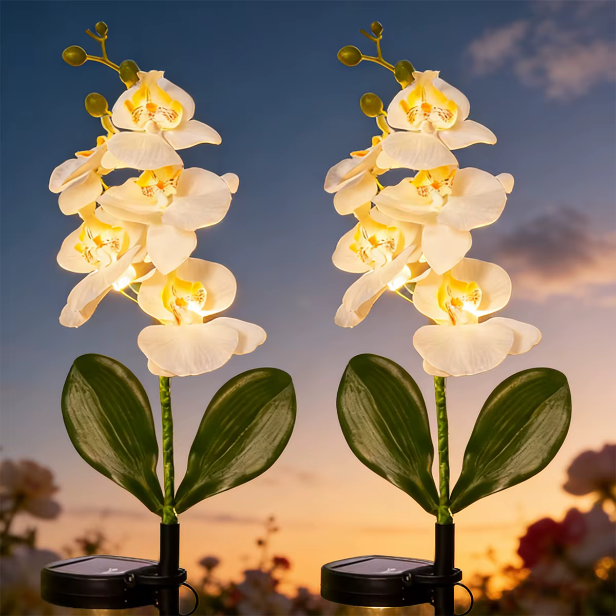 Lanterne solaire orchidée papillon