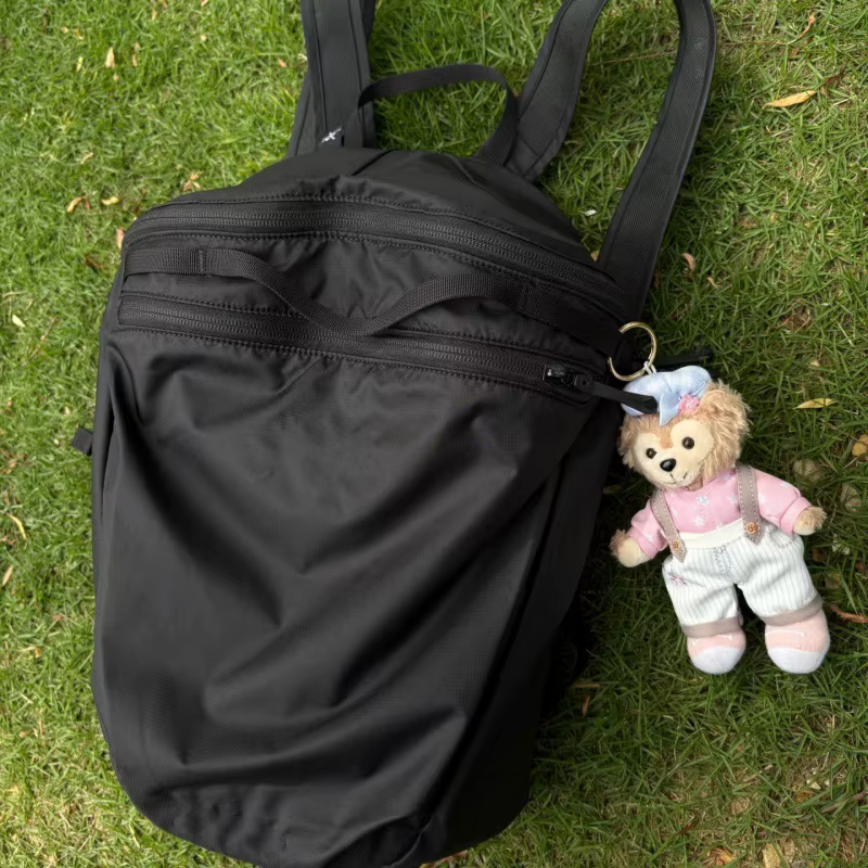 Nouveau 15L brodé pliable en plein air imperméable randonnée sac à dos léger portable poulet cadre urbain minimaliste Style sac