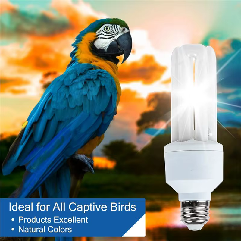 【Dernier CHANCE】 pour les oiseaux 2.4 UVB 20W lampe fluorescente compacte UVA UVB ampoule pour tous les types captifs