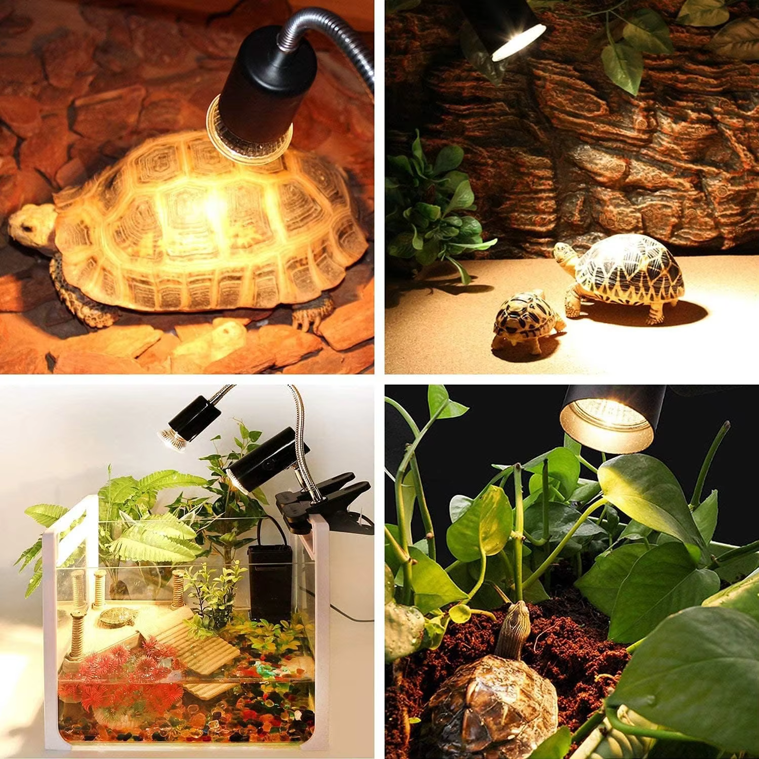 25/50/75W UVA + UVB lampe pour Reptile ampoule tortue se prélasser UV ampoules température constante spectre complet lampe solaire pour serpent animal de compagnie poussin