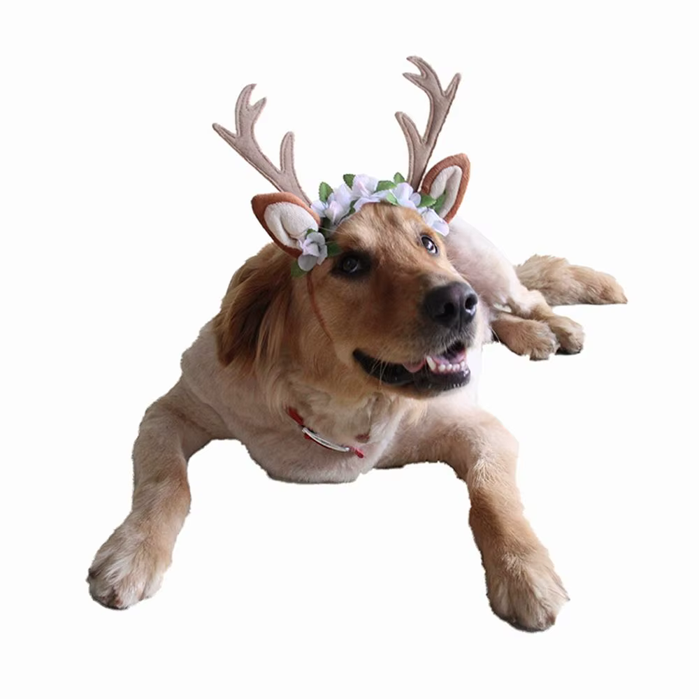 Déguisement de fête pour animaux de compagnie, tenues de noël, accessoires pour chats, accessoires de toilettage, couvre-chef pour chien, Costume de chapeau de noël