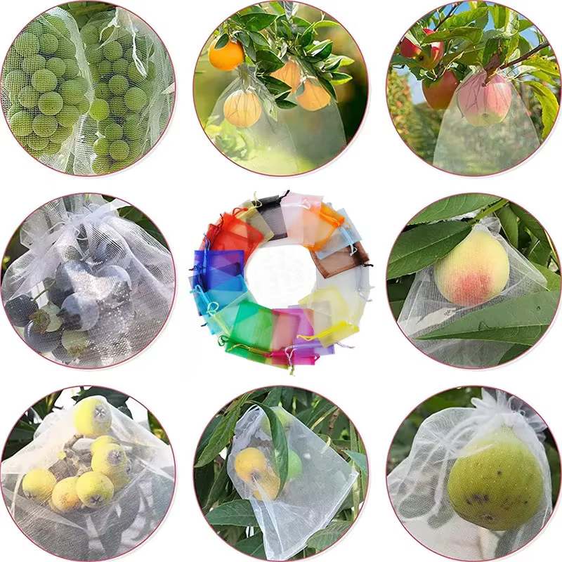 Sacs de protection des fruits