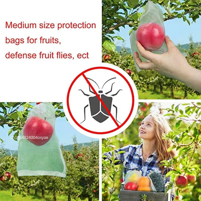 Sacs de protection anti-oiseaux pour la culture de plantes