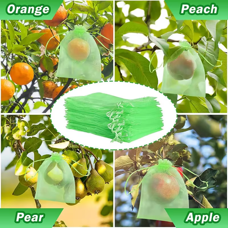 Sacs de protection des fruits