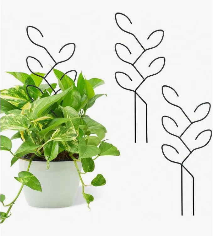 1 support créatif pour plantes en pot d'extérieur, treillis pour plantes grimpantes, support de fleurs, accessoire de jardin