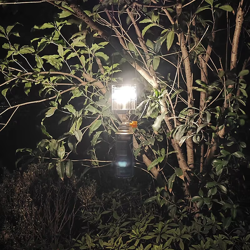 Mini lampe à gaz Camping en plein air lanterne à gaz lumière à gaz
