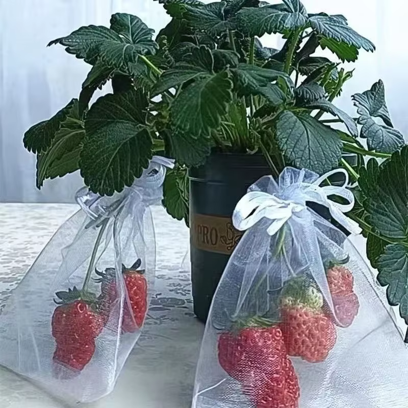 Sacs de Protection des fruits 50/100